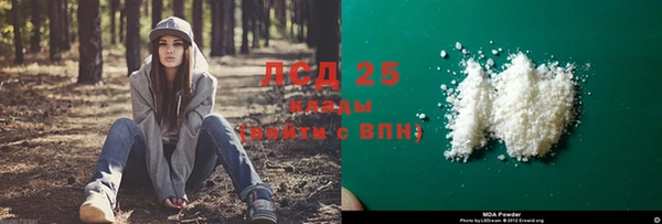 шишки Остров