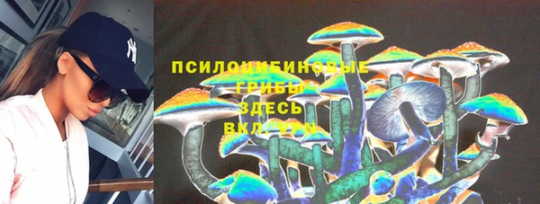 ГАЛЛЮЦИНОГЕННЫЕ ГРИБЫ Осташков