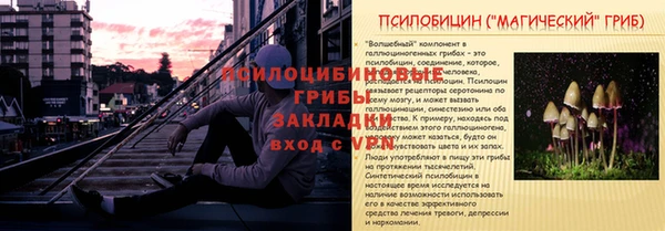 ГАЛЛЮЦИНОГЕННЫЕ ГРИБЫ Осташков