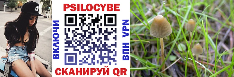 Псилоцибиновые грибы мухоморы  Яхрома 